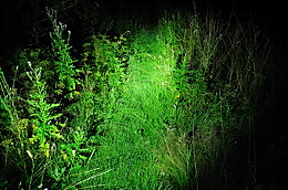 Beamshot of AAA lights, Juli 2011